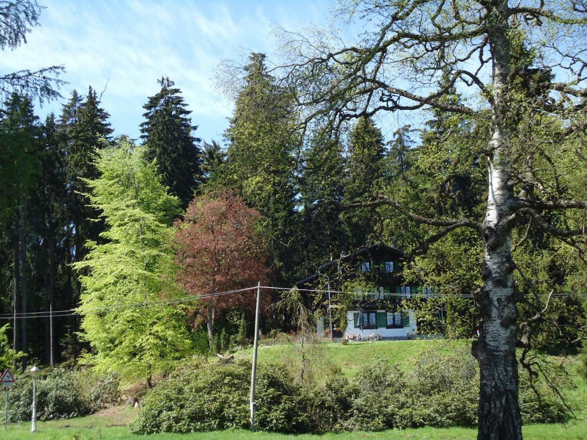 Apartman Forstamt Glatzen Kladska Mariánské Lázně Exteriör bild